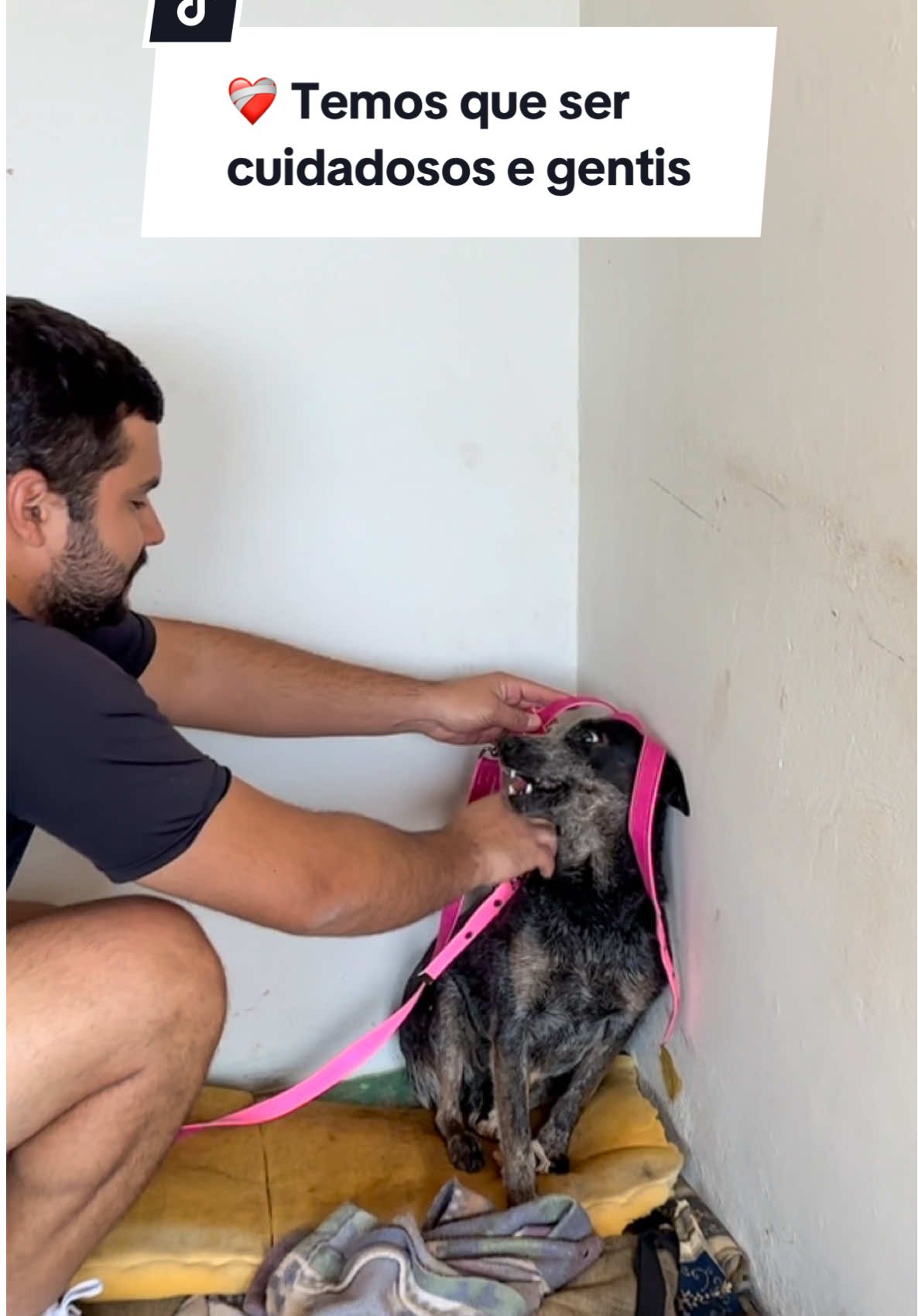 Temos que ser cuidadosos nesse planeta, e gentis ❤️🐶 #cachorro #cachorros #cachorrosengraçados #cachorrosdotiktok #cachorrosfofos #cachorrofeliz #cachorrofofo #blueheeler #blueheelers #blueheller #boiadeiroaustraliano 