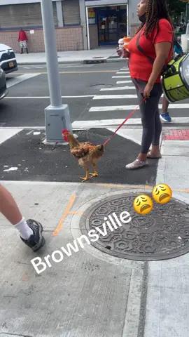 #onlyinbrooklyn 