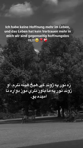 #پشتون_تاجیک_هزاره_ازبک_زنده_باد🇦🇫 @luanarenna6 @دیوانه گک♥️💯 @کاکو پکتیاوال 