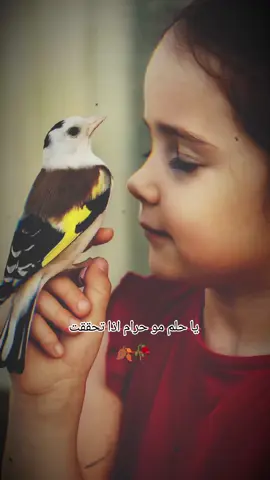 😴🪾🍁🌿💯🍂🥀🖤🕊️