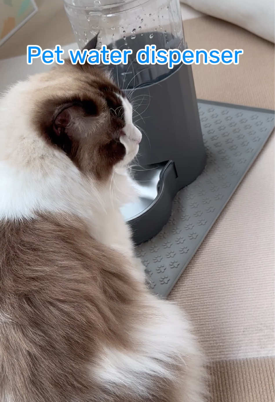 Pet water dispenser, fresh water 💦 everyday! #waterdispenser #catsupplies #catmom #catlover #petsupplies #catlife #catsoftiktok #PetsOfTikTok 