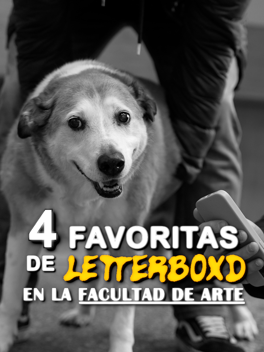 4 Favoritas de @Letterboxd en la Facultad de Arte Anduvimos preguntando a gente de cine y de teatro sus 4 películas favoritas y acá va la primera parte #películas #letterboxd #4favoritas #peliculasfavoritas #recomendaciones
