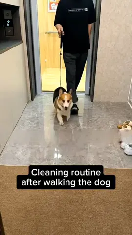 Is this the same process after your dog is walked? #showcase #LiveOutlandish #dog #cleaninggloves #tiktokshop 