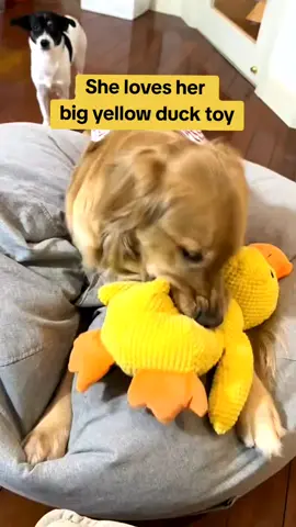 #dog #dogtoy #tiktokshop 