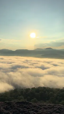 สวยมาก #ผาชะนะได #อุบลราชธานี #อุทยานแห่งชาติผาแต้ม #โขงเจียม #ดูหมอกยามเช้า🏔️📸 