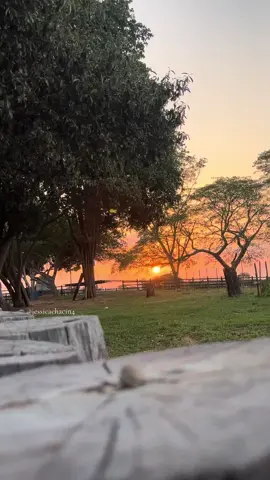 🧏🏻‍♀️❤️ #llano #llanos #llanovenezolano #llanosorientales #venezuela #viral #paratiiiiiiiiiiiiiiiiiiiiiiiiiiiiiii 