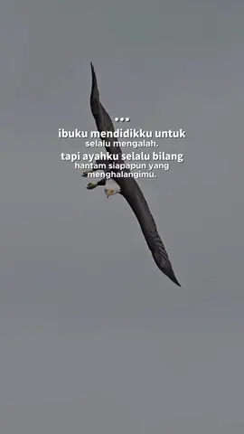 #storyanakrantau45 