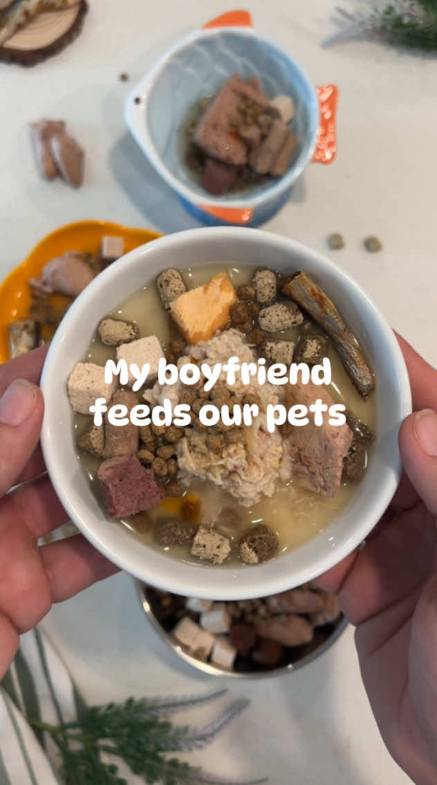 He did such a good job 🥹👏🏻 #petfood #catfood #dogfood #feeedmypets #catmom #dogmom #catdad #catnutrition #dognutrition #petfoodtips #boyfriendtakeover 