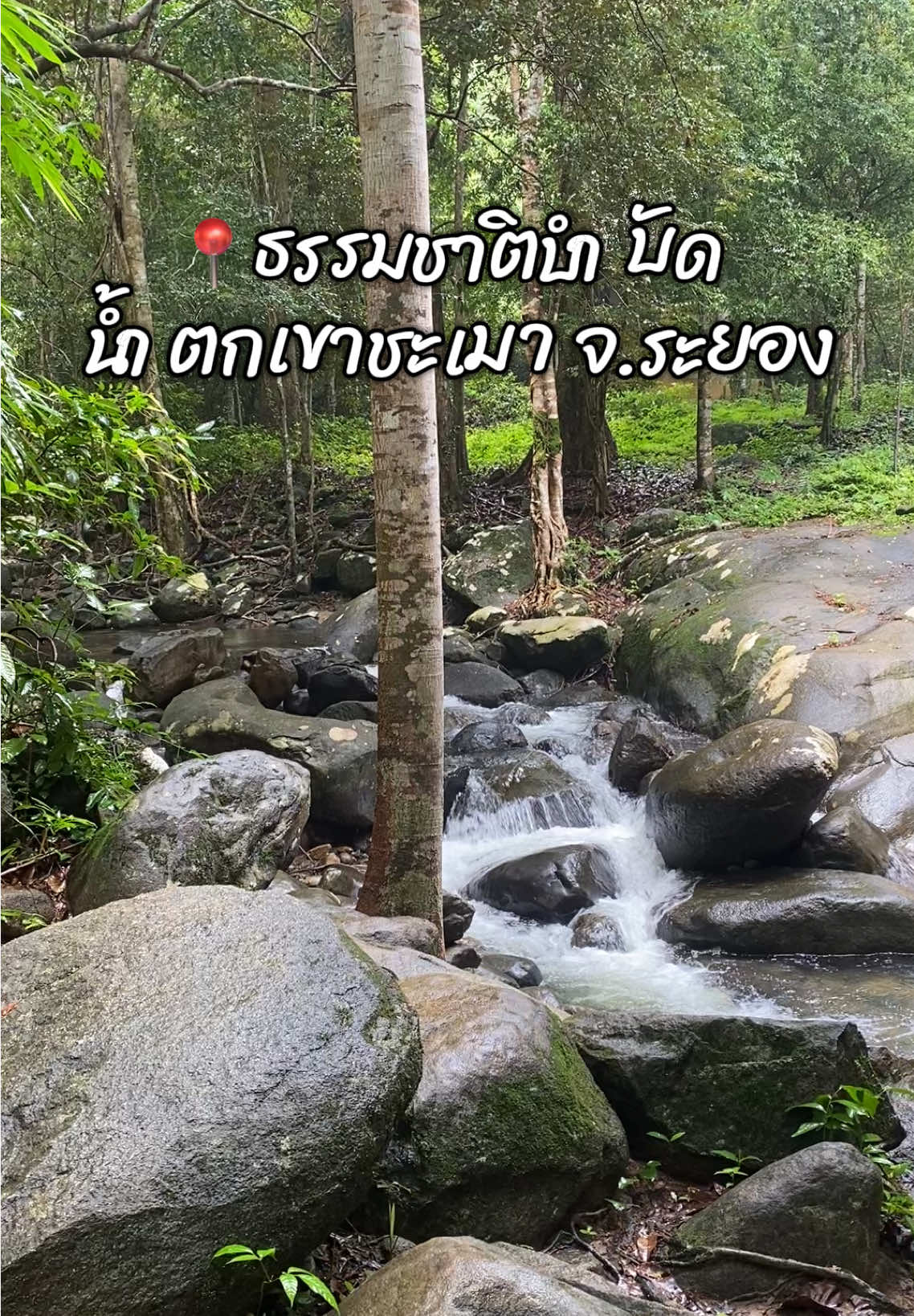 ไว้ไปกันอีกนะ 🌳🫶🏼☺️ #น้ําตกเขาชะเมา #เขาขะเมา #ที่เที่ยวระยอง #เที่ยวไทย 