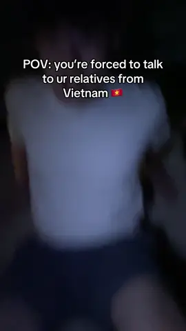 Bra I can barely hold a conversation in Vietnamese😭 #vietcomedy #vietnamtoiyeu #vietnamese #vietnam #vietkieu 