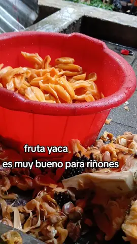 fruta yaca