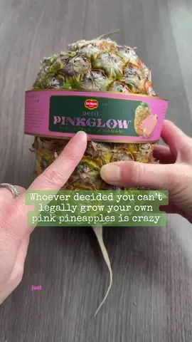 Whoever decided you can’t legally grow your own pink pineapples is crazy 