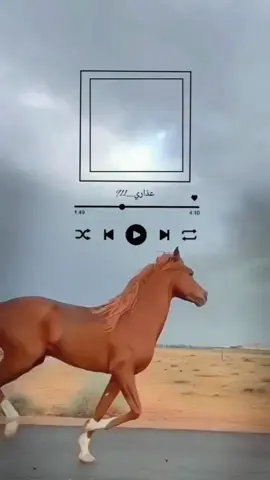 #عيده ❤️❤️#تصميم_أسماء #عذاري_911 #شيلات_مدح #تصميمي 