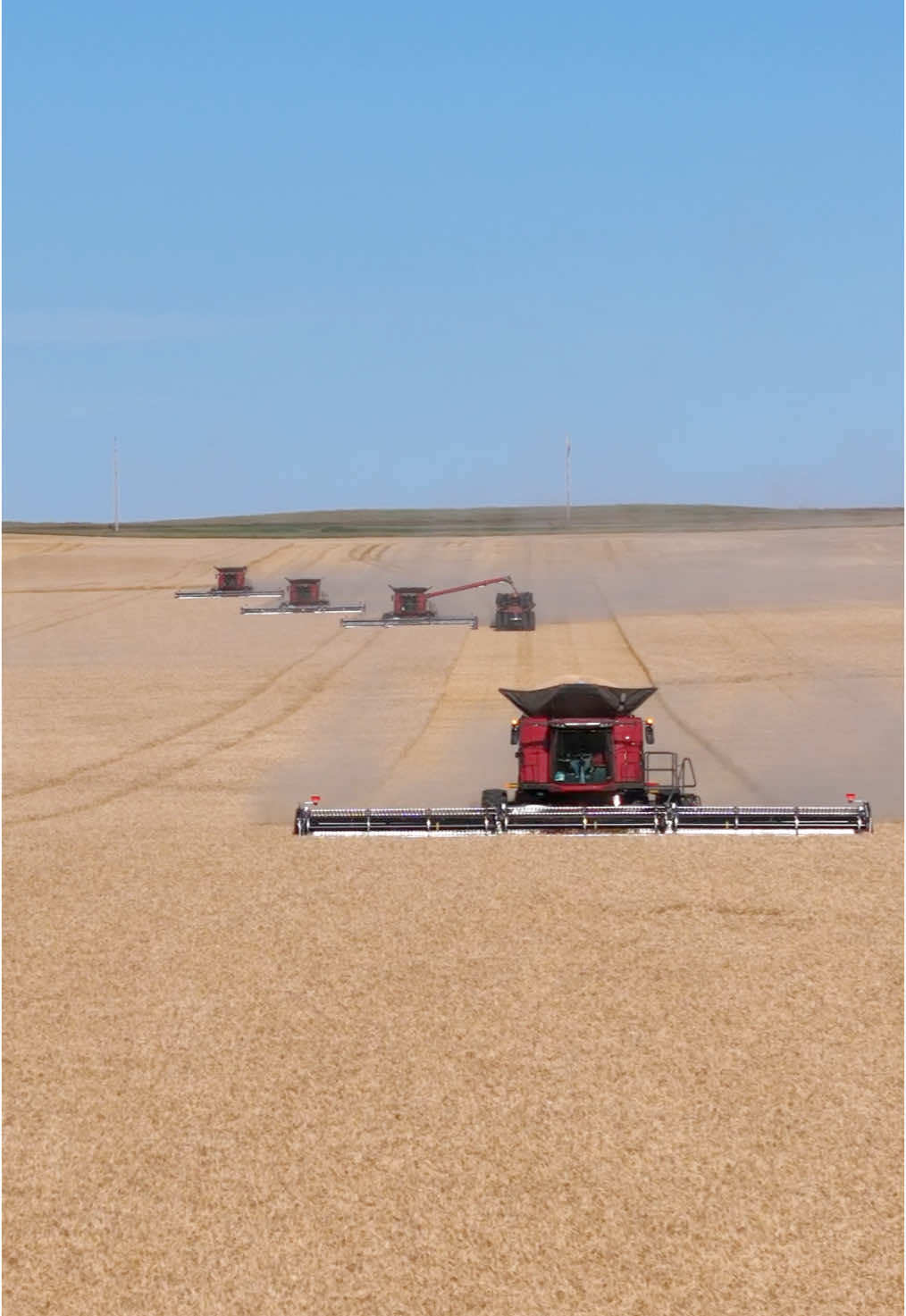 @Westlake Harvesting cutting Wheat in South Dakota with four 9260s and one AF10 #harvest #af10 #9260 #case #cnh #casesteiger #combine #combineharvester #southdakota #wheat #wheatharvest #harvestsaison #customharvest #customharvestcrew #usagriculture #unitedstates #america #farming #farmer #swissfarmer #graincart #brentgraincarts #macdon #cutting #einsatzgruppehektar #getreideernte #ernte #mähdrescher #overseas #h2a #landwirtschaft #landwirt #bigmachinery #contracting #lohner #lohnerausleidenschaft #lohnerleben 