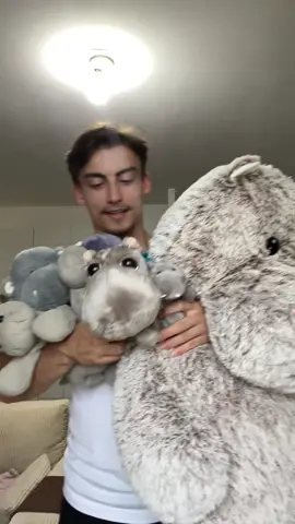 vous aimez? 🤗🤗 #hippopotame 