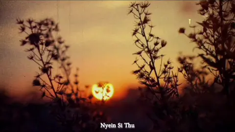 ဟိမန္တာအလွမ်းဘွဲ့ | ငြိမ်းစည်သူ #Tiktokmyanmar #fypシ゚viral  #Thanlinnaung #lyricsvideo 