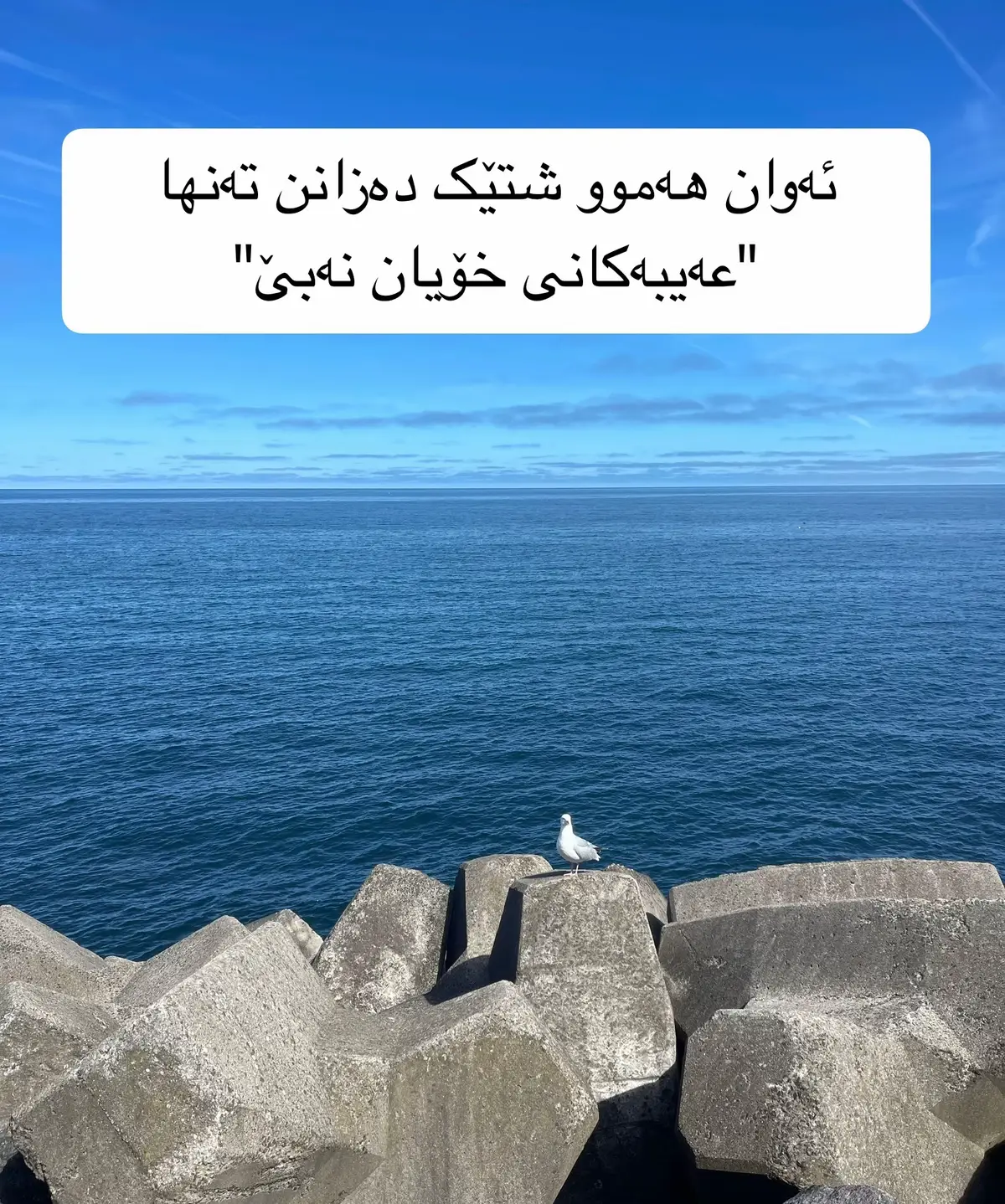 #fyppppppppppppppppppppppp #wtay_jwan #tik_tok #kurdistan #foryoupage #کورد #کوردستان 