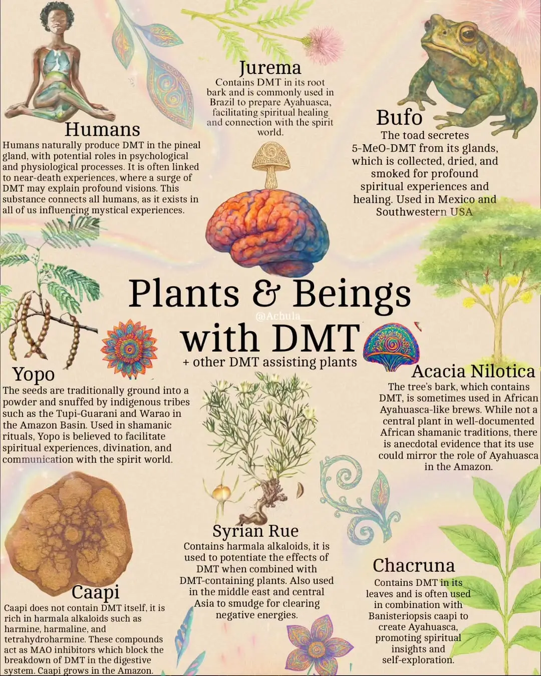 DMT (Dimethyltryptamine) is a powerful naturally occurring compound found in many plants, animals, and even humans. Known as the “spirit molecule,” it plays a role in deep spiritual experiences, near-death moments, and altered states of consciousness. There are skilled and unskilled practioners out there serving the medicine and creating container for these ceremonies to be held. These altered states can be experienced through the ingestion of DMT containing plants. These altered states have been key points for me where i experienced my 