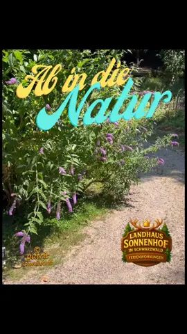 Landhaus Sonnenhof im Schwarzwald. ❤️                Unser Motto,ab in die Natur. 🌲#landhaussonnenhofimschwarzwald #natur #schwarzwald #ferienwohnung #ferien ©️Sound & Bild • Patric Schweinfurth 