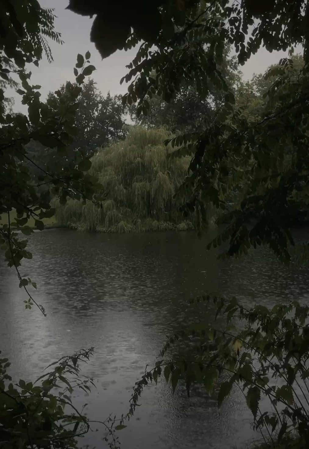 just listen to the rain and let everything slow down for a moment <3  #darkaesthetic #darknaturalism #rain 