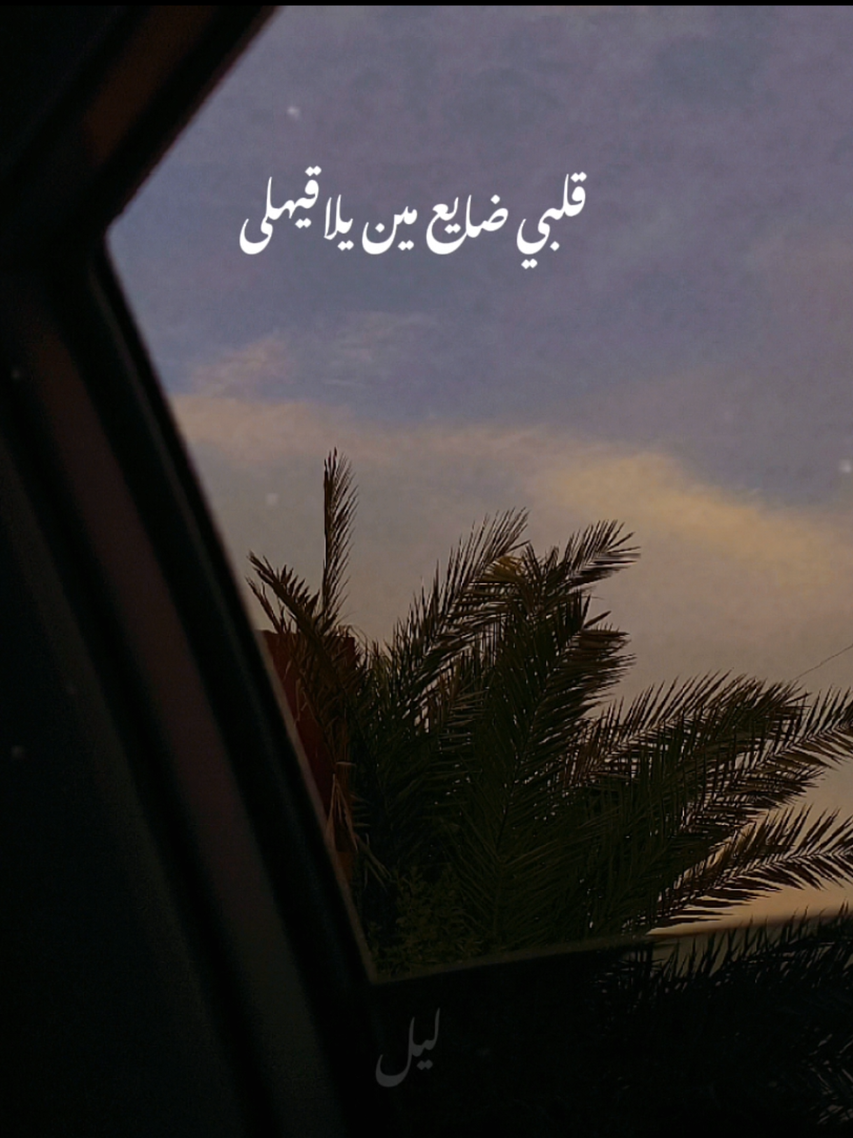 قلبي ضايع مين يلاقيهلي 🤎 #قلبي_ضايع_مين_يلاقيه_لي #محمد_منير #يونس #الكينج #روقان #اغاني_بدون_موسيقى #بدون_موسيقى #اكسبلور #ليل #fypシ゚viral #viral #leyl  #explore #fyp #حب #Love 