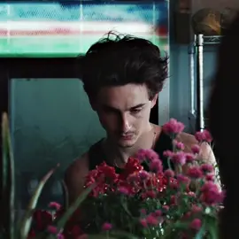 @Cash App blessing our eyeballs #timothéechalamet #foryou #fyp #cashapp #viral 