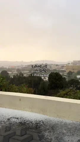 #باشوت #الجنوب 