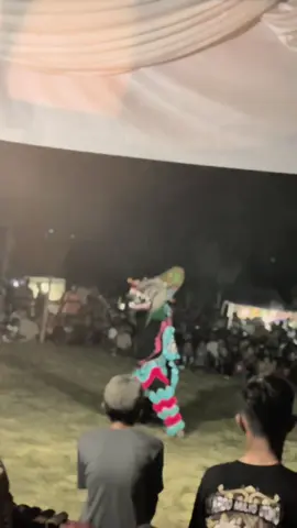 boyok ra kroso neh 😨 #barongandevil #barongansalto #jaranan #kediri24jam #kridomulyoutomo 