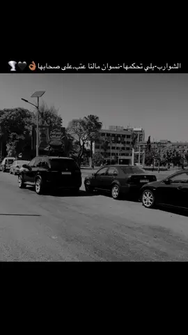 الشوارب-يلي تحكمها-نسوان مالنا عتب.على صحابها#ستوري #تصويري #علي_ali 