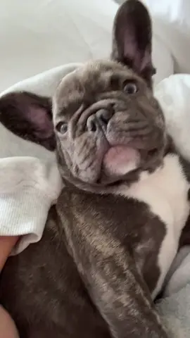 Gus🥺🥺