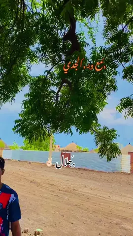 #محضوره_من_الاكسبلور_والمشاهدا 