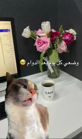 الله يخارجنا 🫠 #fyp #explore #foryou #مصرف_الراجحي 