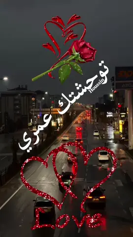 توحشتك عمري #houssin 
