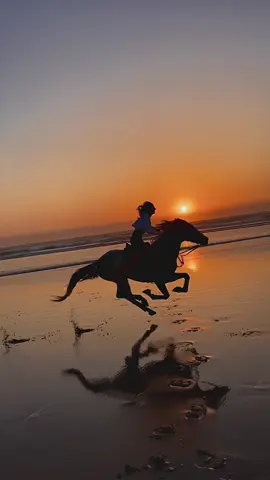 Best sunset ride with my boy Charly🧡#horse #sunsetlover  #morocco #beachride #gallop #viralvideos #fyp 