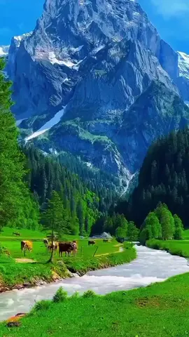 #mytravel #travelgoals #treanding #Beautiful #switzerland🇨🇭 