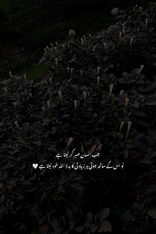 Allah🤍🤌🏻__’’|#Arthur #fypp #foruyou #forypupage #urdupoetry #urdushayari #sad #sadpoetry #sadshayari #dopalpoetry #asethetic #poetrystatus #1millionaudition #grow 