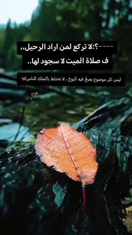 #سوره_البقره #الشياطين #اعوذ_بكلمات_الله_التامات_من_شر_ماخلق #اعوذ #بالله #بسم_الله_الرحمن_الرحيم_3 #قران_كريم #احمد_العجمي #القران_الكريم_راحه_نفسية😍🕋 #اذكارـادعيةـاستغفار #اذكار_النوم #ryf #rypシ #ry #تعلم_على_التيك_توك #هاشتاقات_تيك_توك_العرب #الصلاه_هي_الحياه_حافظو_عليها🤍🌱 @مسلم | من الرمادي 📚 @أحمد حمادي @سعد الغامدي @🦋❤نور _ الهدى❤🦋🥀 @جـ༈ۖ҉ـؤُفـ༈ۖ҉ـ آلَلَيـ༈ۖ҉ـلَ🦋 