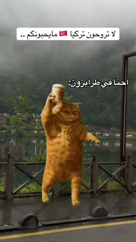 #Meme #MemeCut  دوعابه والله😂 #فايزة_اسطنبول #فايزة_الزهراني #اوزونجول #تركيا #طرابزون #الشمال_التركي #ريزا 