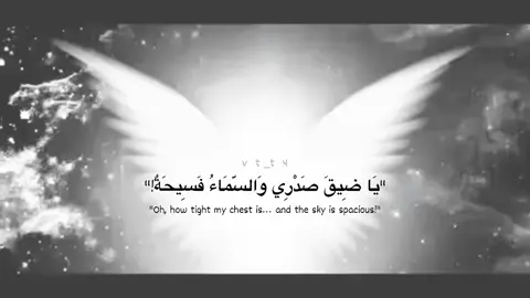 هذا الشطر هو عن الحرية  يحدد إن المشكلة مو بالعالم الخارجي بس ..وانما المشكلة بالقيود الداخلية هماتين    السماء الفسيحة هي الحرية المتاحة: هي الإمكانيات، الفرص، الأحلام، الحياة اللي ممكن نعيشها. هي الدليل على إن الكون ما بيه قيود حقيقية.   ضيق الصدر هو القيد الداخلي: هو السجن اللي إحنا عايشين بيه هذا السجن ممكن يكون:        الخوف: الخوف من الفشل، الخوف من كلام الناس، الخوف من المجهول.        الندم: الندم على أخطاء الماضي اللي يمنعنا نتحرك.        التقاليد: التقاليد والأفكار اللي زرعها المجتمع بداخلنا وخلتنا نحس بالاختناق.        العلاقات السامة: الأشخاص اللي يقيدونا ويخنقونا. فـ أحيانا التخلص من بعض القيود الداخلية تعيد لك ولو ذرة من الشعور بالحرية. #الحرية  #بدون_موسيقى 