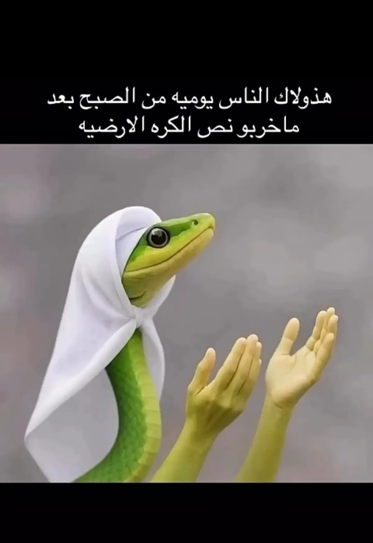 #ترند #fypシ゚viral #fyp 