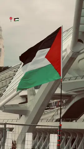 📍🇵🇸#فلسطين #فلسطين_لبنان_سوريا_اليمن_مورتانيا 
