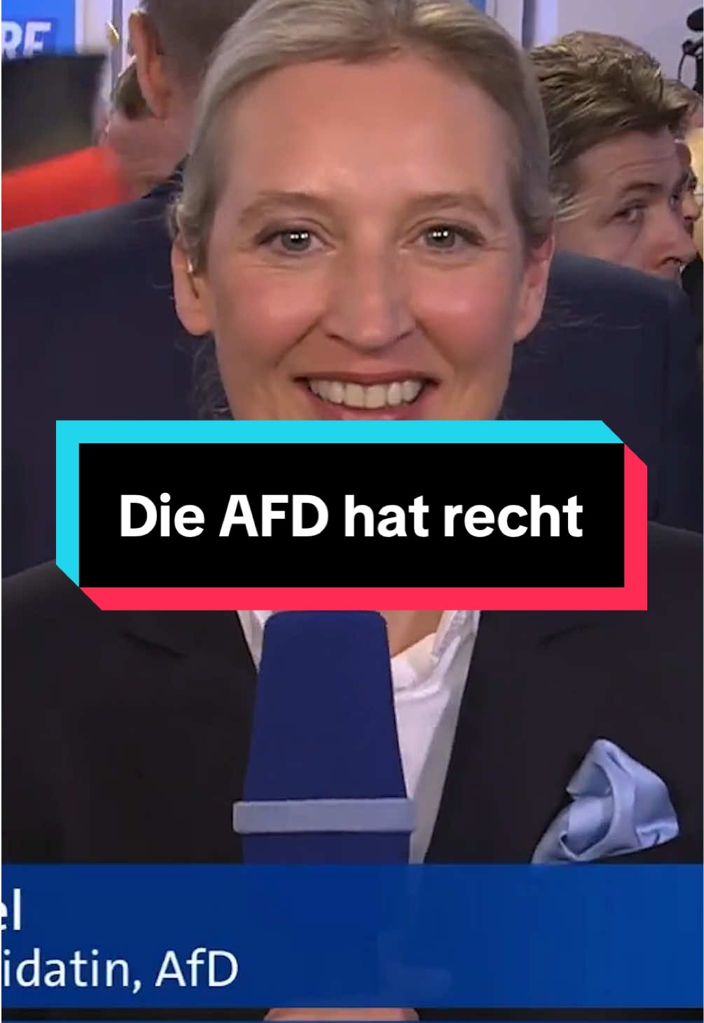 Was sagt ihr zur AFD? #deutschland #afd #cdu #politik #hossundhopf 