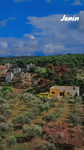 #جنين  #jenin 