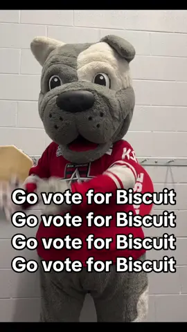 Follow the instructions! #VoteBiscuit #echl #followme #ykyk #linkinbio #mascotoftheyear #bestechlmascot #govote 