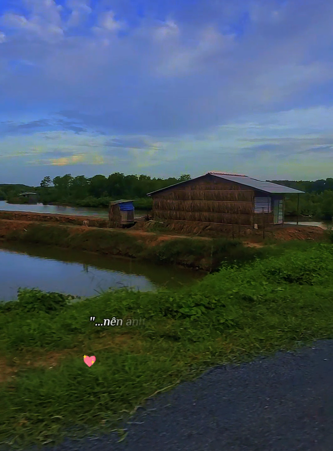 Thật ra anh biết hết rồi nhưng giã vờ đấy thôi#duong71 #trending #xuhuong #CapCut 