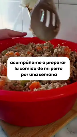 Ingresa a nuestro recetario (+200 recetas) en el link de nuestro perfil☺️ #snacks #sopasaludable #comidasaludable #mascotas 
