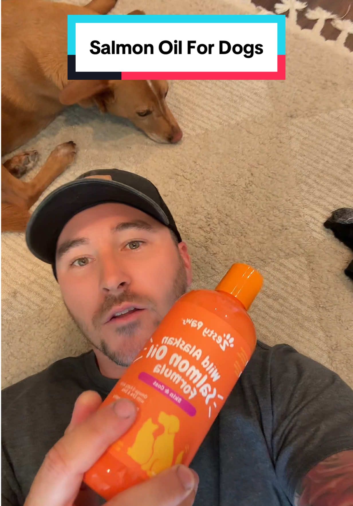 This salmon oil can help with your itchy dog and help with their skin and coat heath! 🙌🐶🐾 #zestypaws #salmonoil #salmonoilfordogs #pethealth #doghealthtips #doghealth @Zesty Paws 