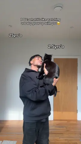 i hate seeing her get older🥹 #cat #cats #catlover #catsoftiktok #fyp #foryou #foryoupage #catslovers #cattok #petlover #PetsOfTikTok #pets #catvideo #catlovers #catsvideo 