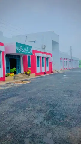 Government graduate 👨‍🎓 college 🏫TANDLIANWALA kon kon par ka gia h yaha #degreecollege #govtmentcollage #tandlianwala #alhamdulillah❤️ #mashallah #subhanallah❤️ #unfrezzmyaccount🙏🙏 #foryou #viral @✨J û ن à ì d✨ @inzooo tarhana @Tandlianwala cute city💓 