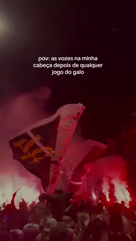eu não aguento mais esse tal de clube atlético mineiro #galo #atleticomineiro #galoucura 
